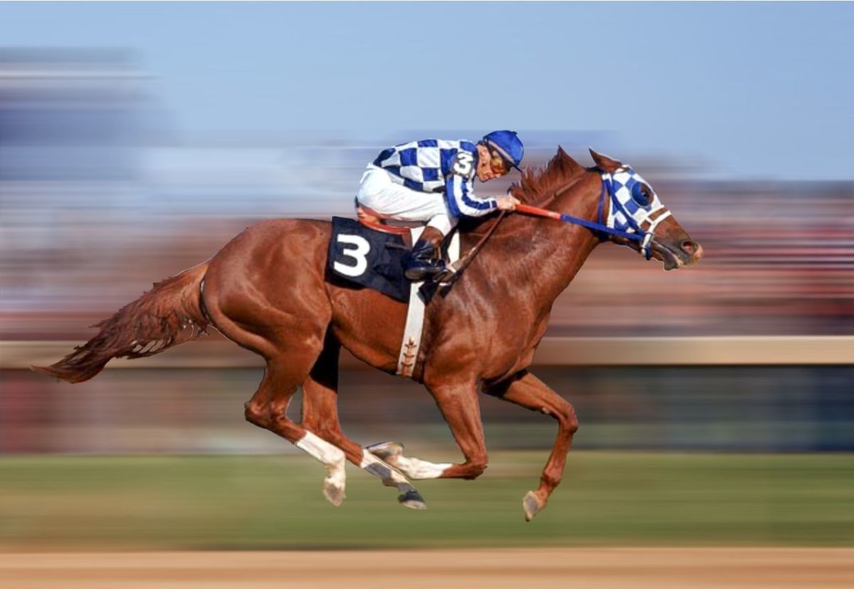 Chevaux de course : comment s’assurer d’un achat serein et éclairé ?